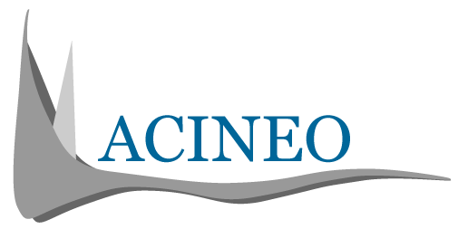 Acineo LLC